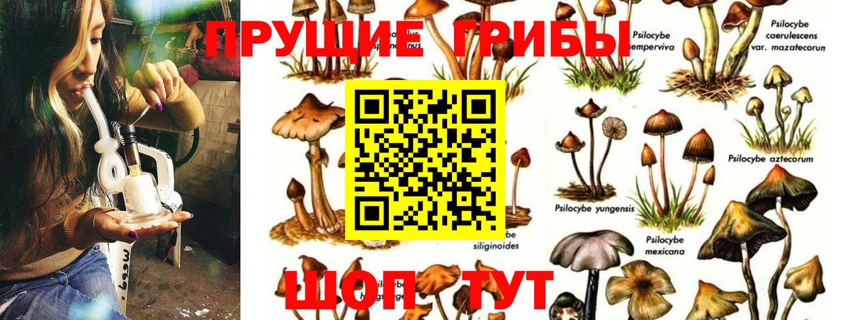 где купить наркоту  Псилоцибиновые грибы мухоморы  Вход с VPN  Магнитогорск 