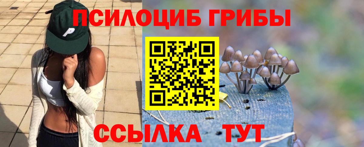 Псилоцибиновые грибы Psilocybine cubensis Магнитогорск